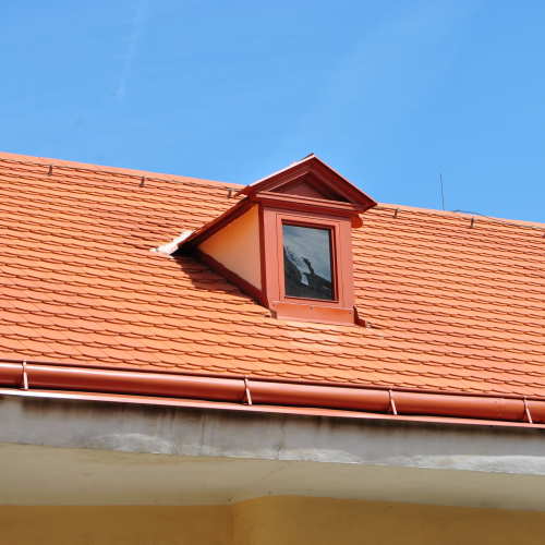 Oprava střechy, Vodičkova