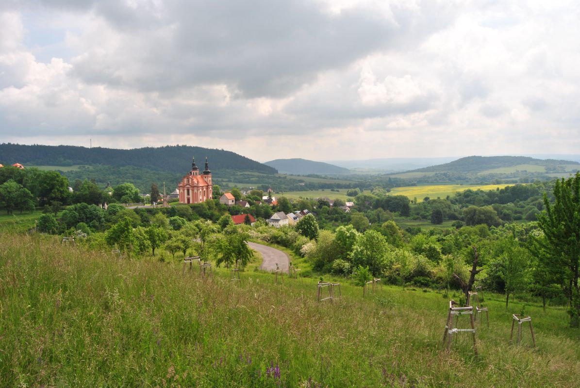 projekt obnova sadu u křížového sadu