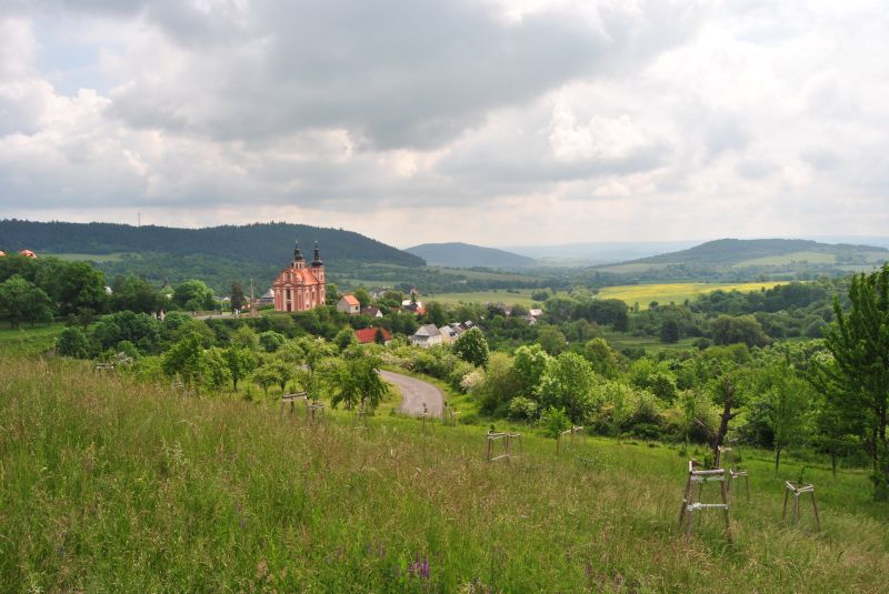 projekt obnova sadu u křížového sadu